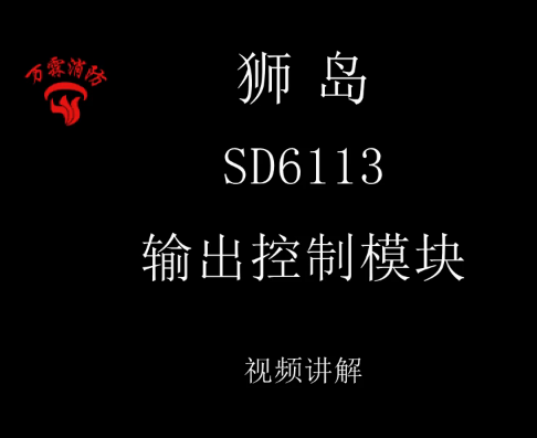 狮岛 SD6113输出控制模块讲解视频