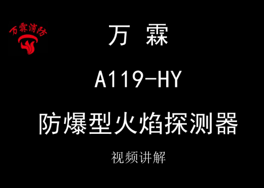 万霖 A119-HY 防爆型火焰探测器试验器
