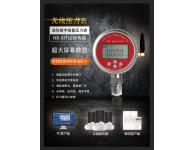 <font color=#fe0000>数字远程无线智能压力表（联网型